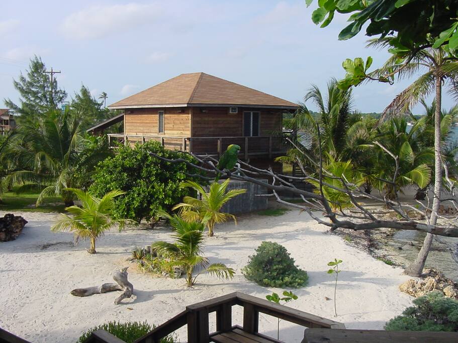 View of our home from our neighbor's house