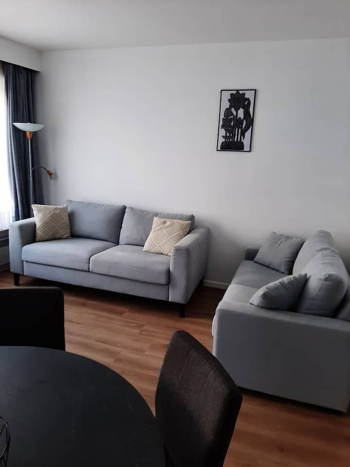 Très Beau Studio Spacieux à 50m De La Plage - Middelkerke