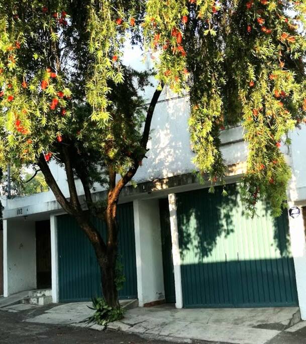 Portón verde de entrada