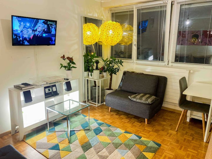 Jolie Cosy/stylish Flat Au Centre. - Carouge
