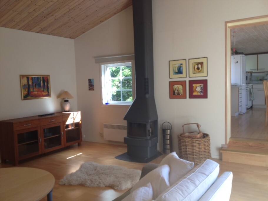 Living with wood burner