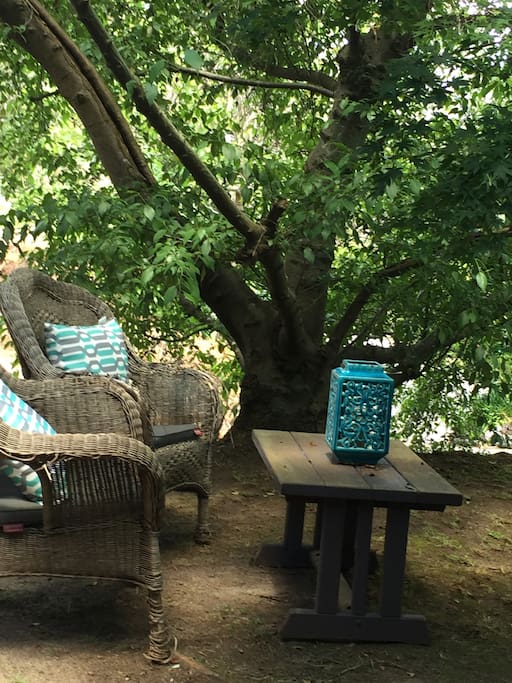 Garden sitting area exclusive to guests, with view of sunset