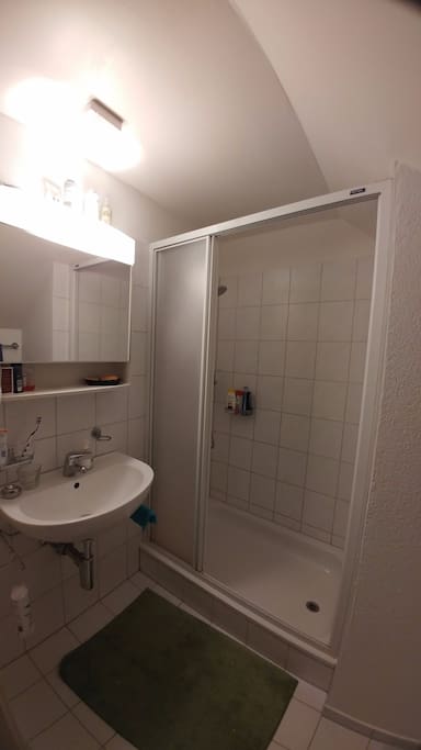 private bathroom with toilet and shower