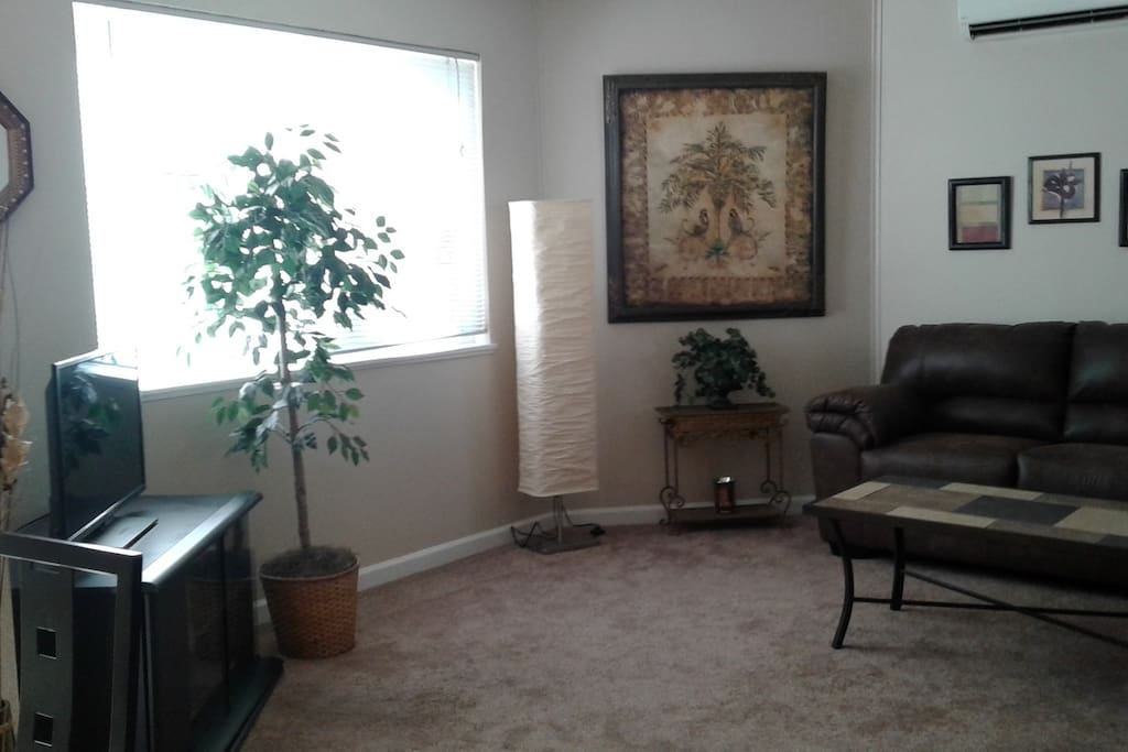 Left Livingroom view