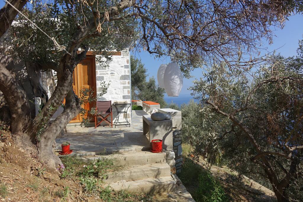 Orange Tree House