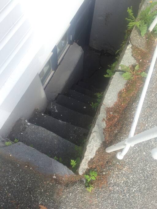 Stairs down to the entrence of the flat