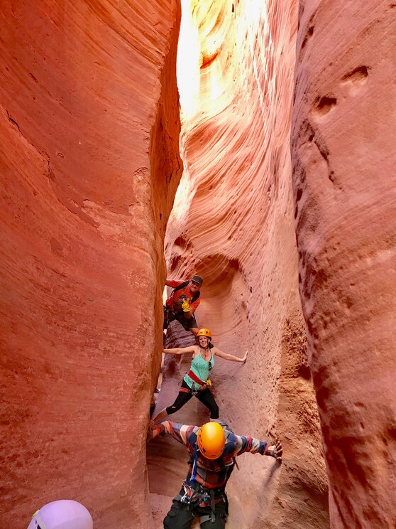 Show full-screen, host-provided image