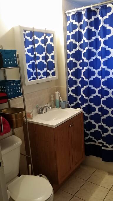 Convenient bathroom