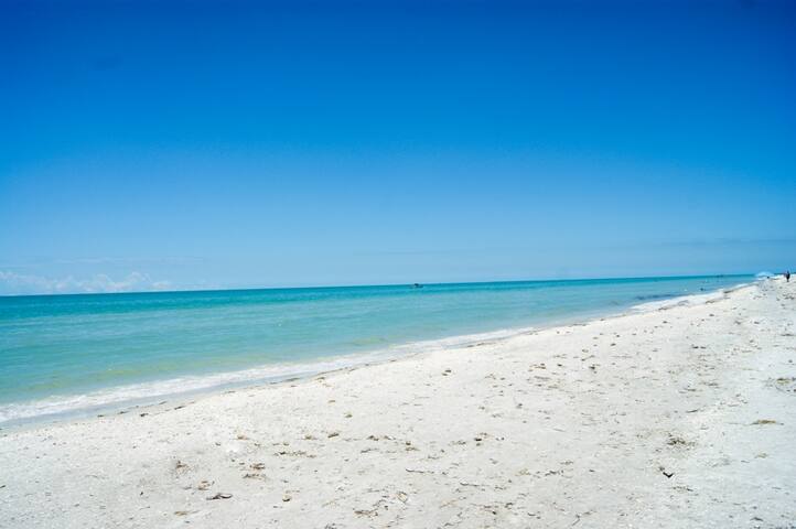 Sanddollar A202 3 Bedrooms 2 Bathrooms Condominium In Sanibel Island United States
