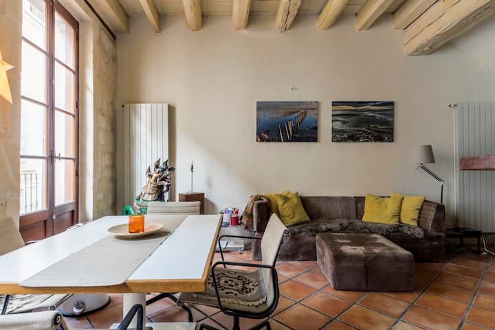 Spacious Condo With Roof Terrace In Historic Arles Condominiums For Rent In Arles Provence Alpes Cote D Azur France