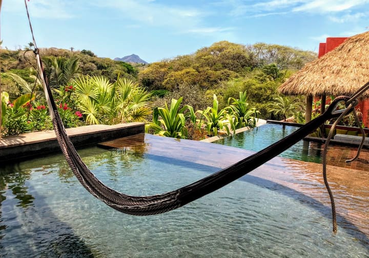 The locals at Casa Duende Vista - Picture of Casa Duende Vista, Sayulita - Tripadvisor