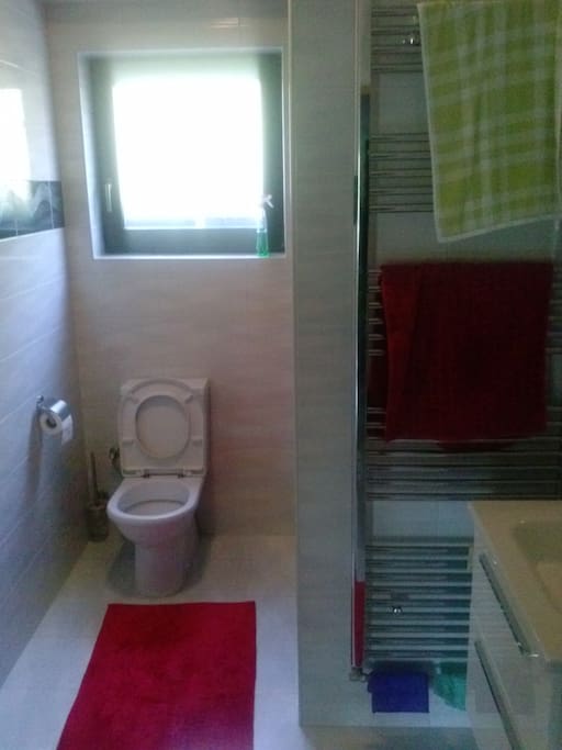 Bathroom with a toilette