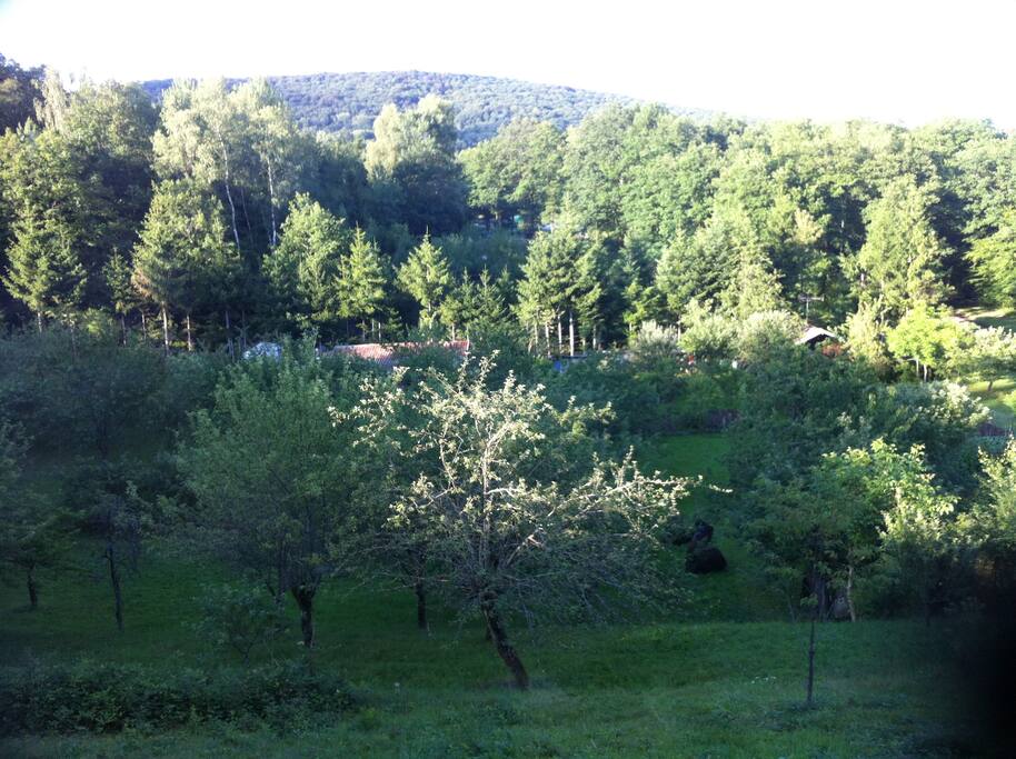 La jolie vue que nous avons depuis notre salon