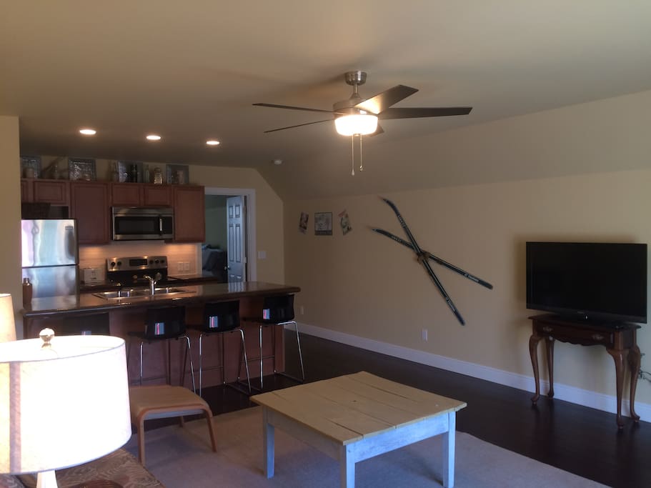 living area/kitchen