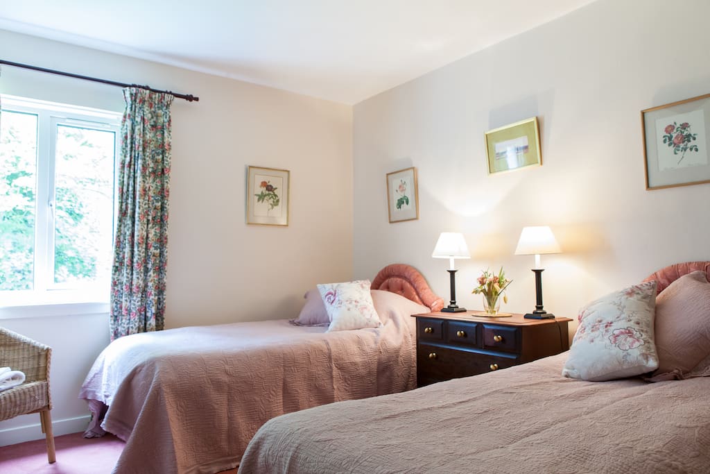 Spacious twin room