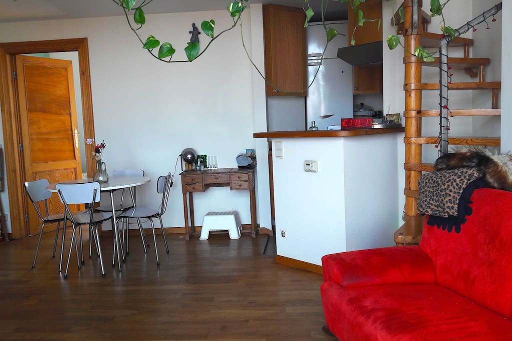 Salon et cuisine