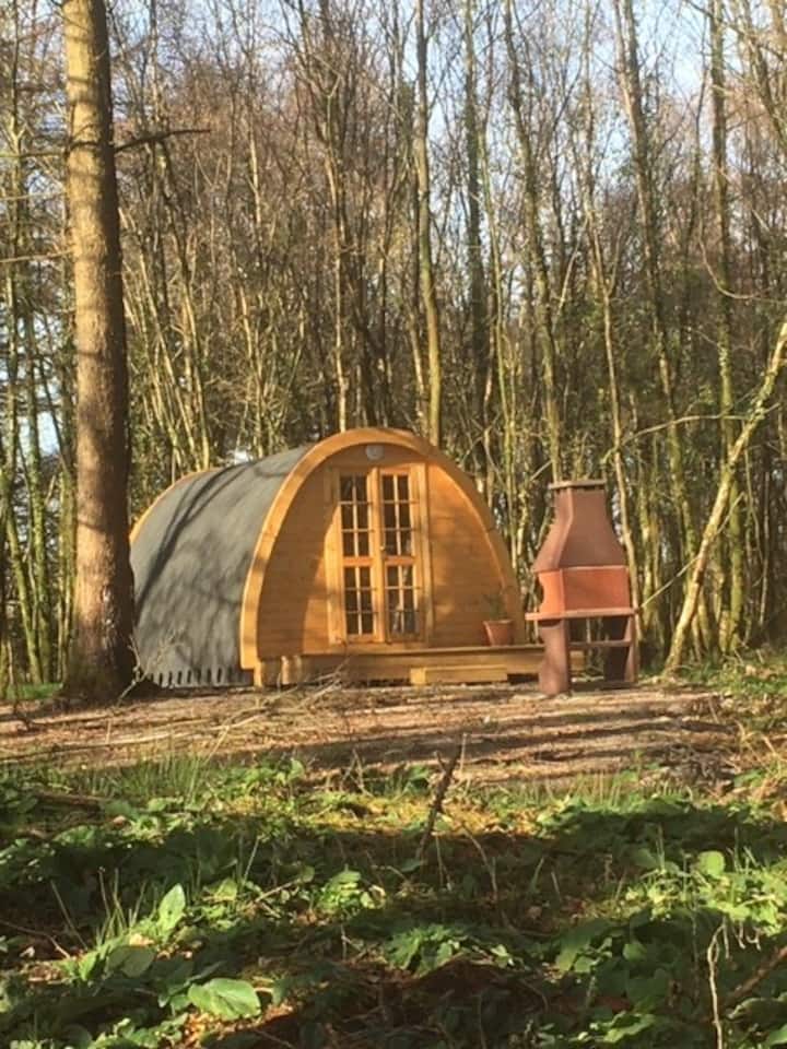 Camping pods in peaceful woodland Tiny houses for Rent in Llanharan