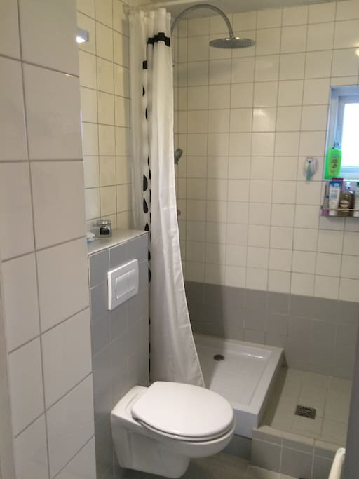 Bathroom and shower.