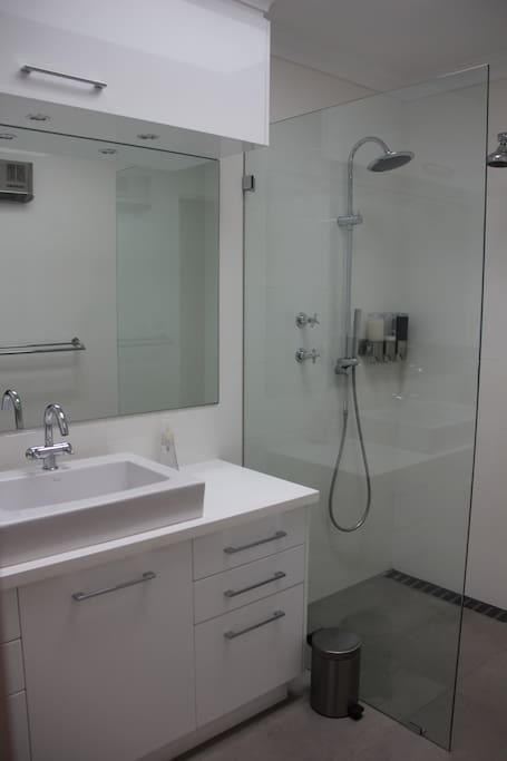 Luxury double shower heads