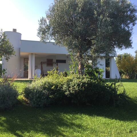 Nel blu dipinto di blu gallery image 5