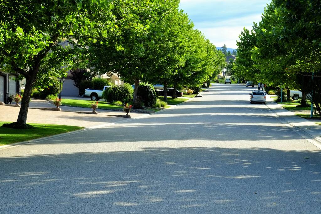 Welcome to our street