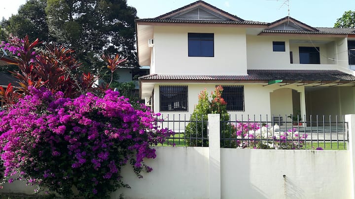 Home gardern