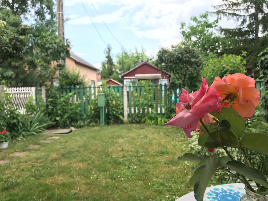 Relaxing garden in front of the apartment