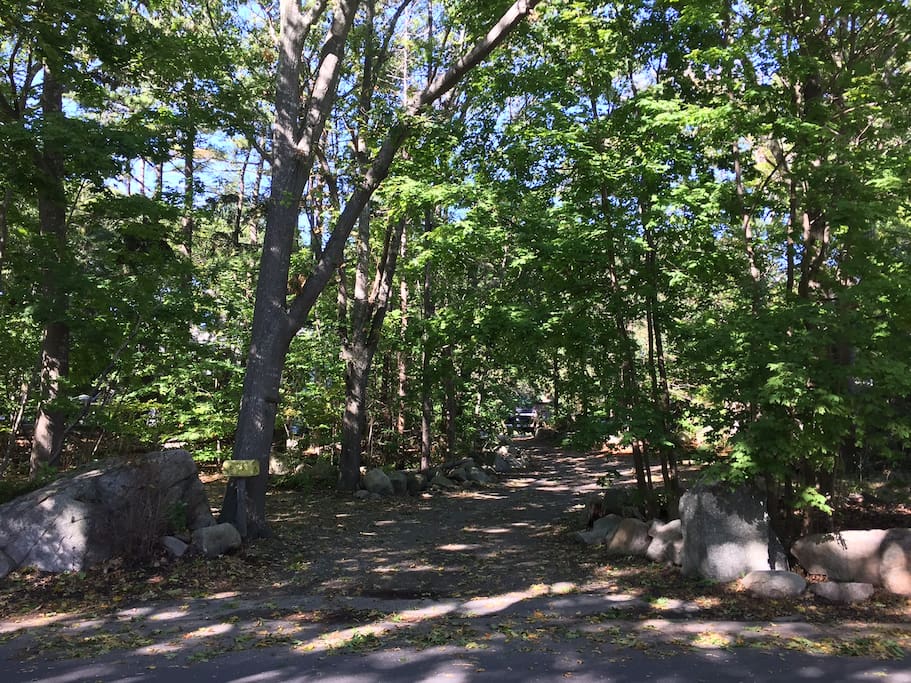 Private drive to 1.5 acres of privacy