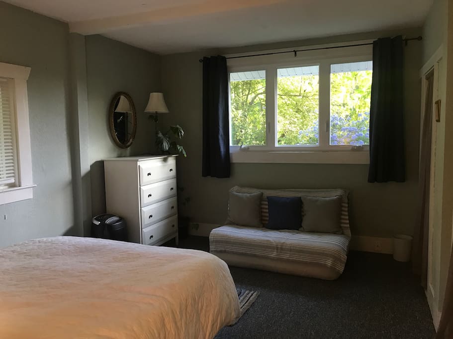 Has a fold out couch, dresser, and double closets
