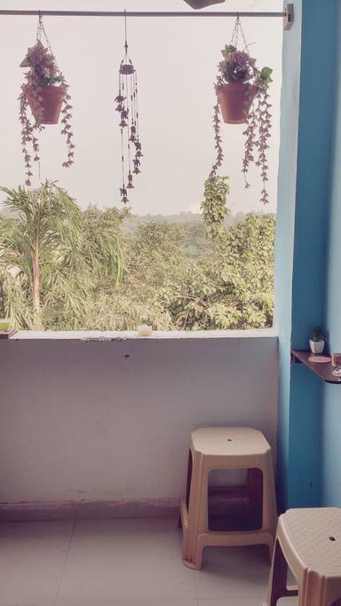 Balcony with the view of Lotus temple and a lush green park