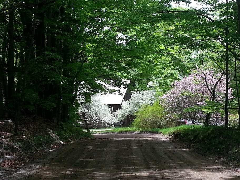 the road home