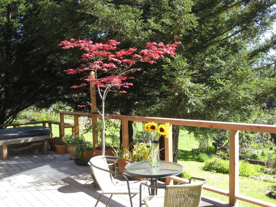 Enjoy a glass of champagne on the deck overlooking the garden.