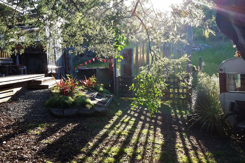Whimsical and quirky "Like our own private Garden of Eden" Will & Suzanne Dec 2016
