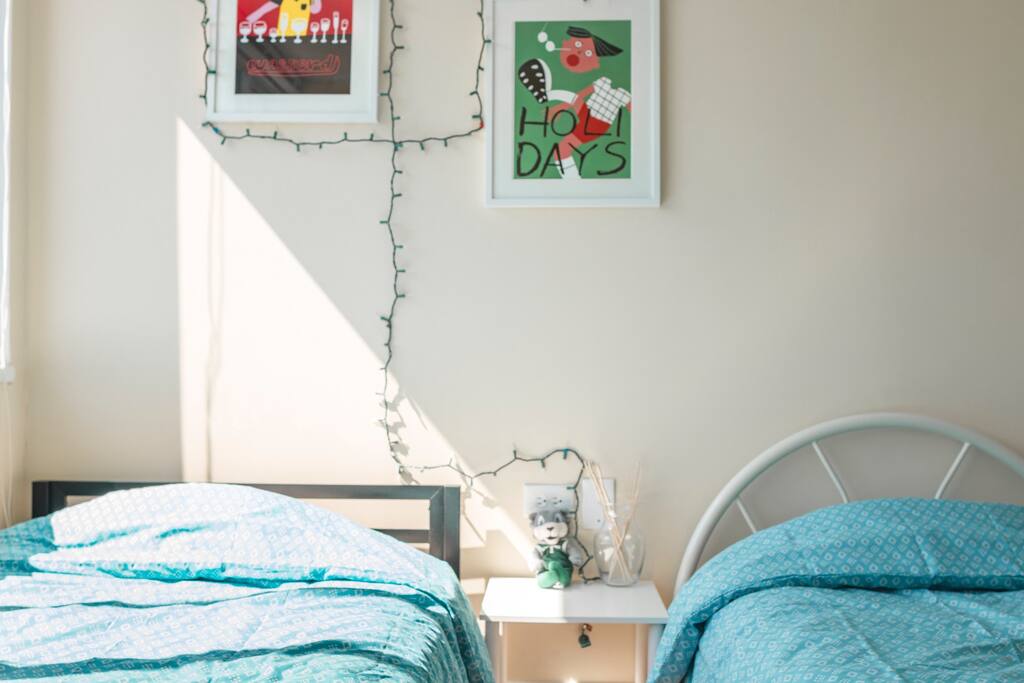 Two single beds in a sunny private room.