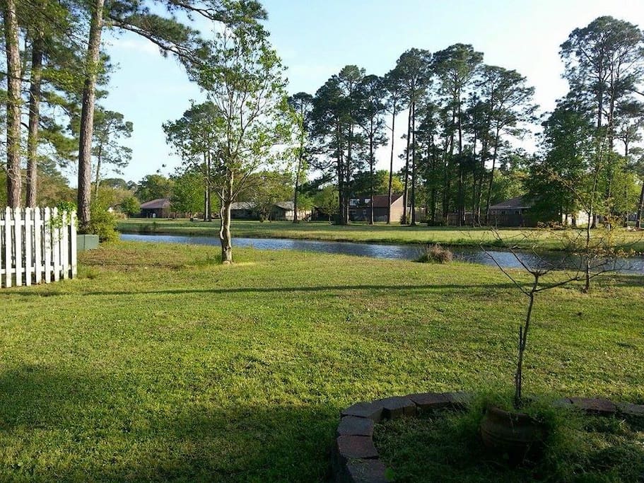 The back yard. bring your fishing pole.