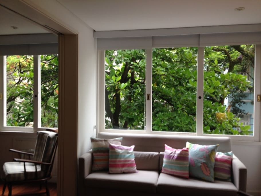The main room windows open to the streets trees. Very small and cute monkeys can often be seen there in the morning