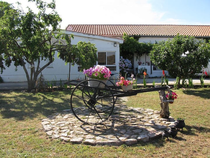 Malhada Sorda Holiday Rentals & Homes Guarda District, Portugal Airbnb