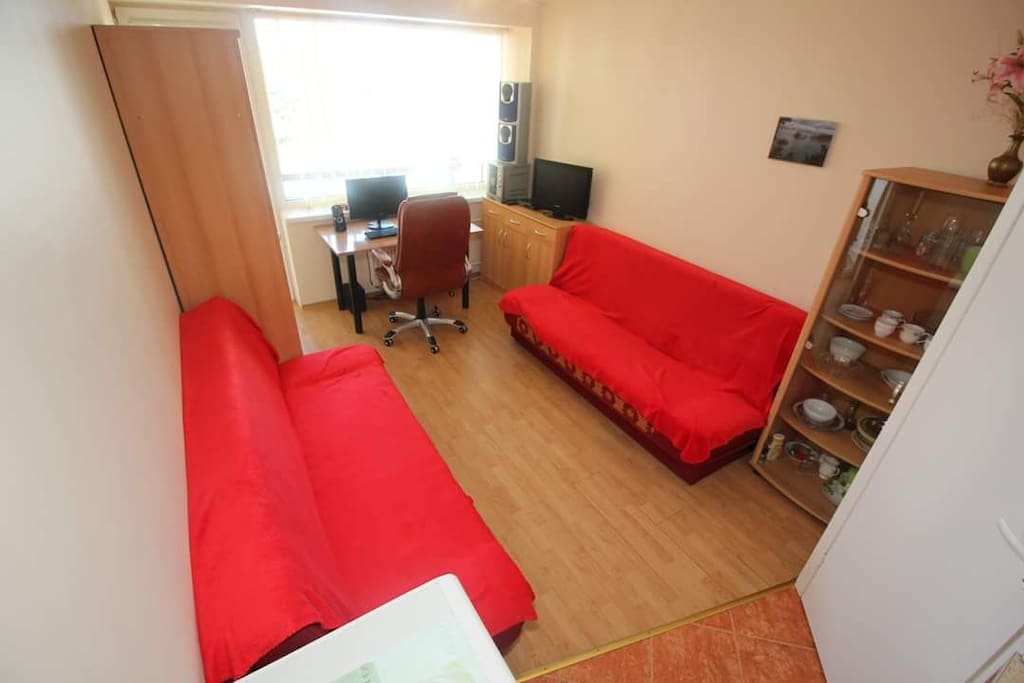 living/sleeping scape. please note, there is no desk&chair in the room