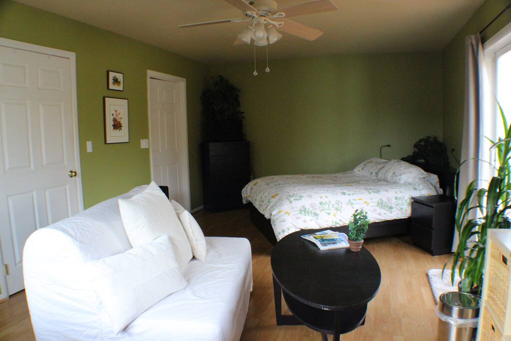 Main bed and sofa that turns into a full-sized bed. Coffee table fits in closet for more floor space.