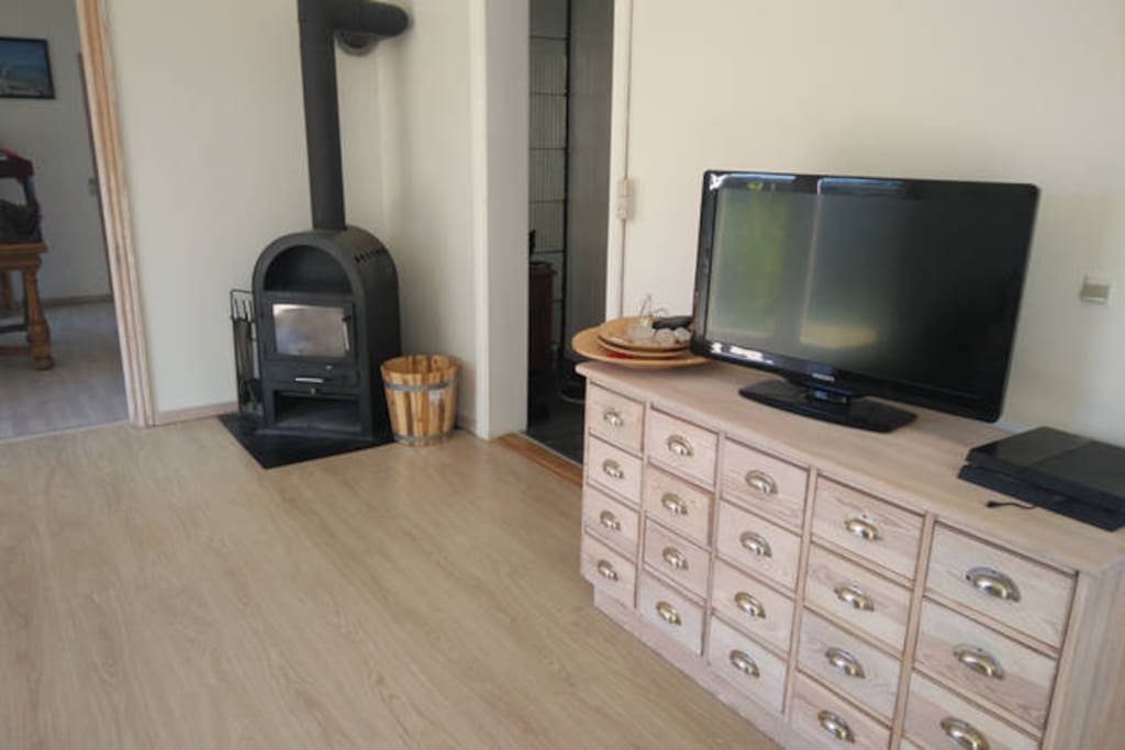 Fireplace and tv in our shared livingroom