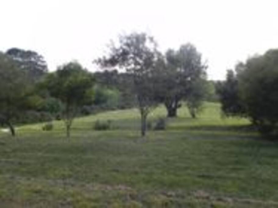 vaste propriété de 8000m2