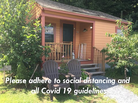 Cozy Knotty Pine Cabin