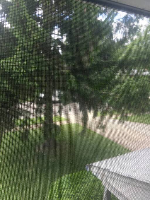 Front yard with offstreet parking