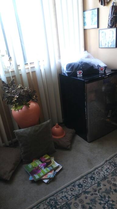 Mini-fridge for your convenience
