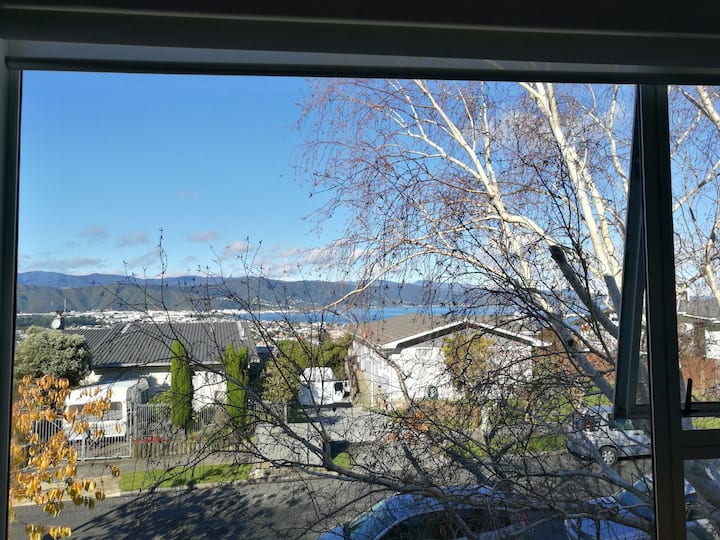 Comfort room with harbour view Houses for Rent in Lower Hutt