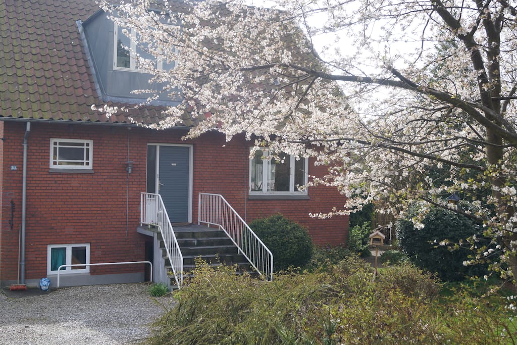 Huset