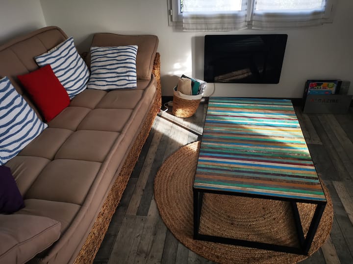 Მისაღები ოთახი, გასაშლელი დივანი, შეზლონგი. 