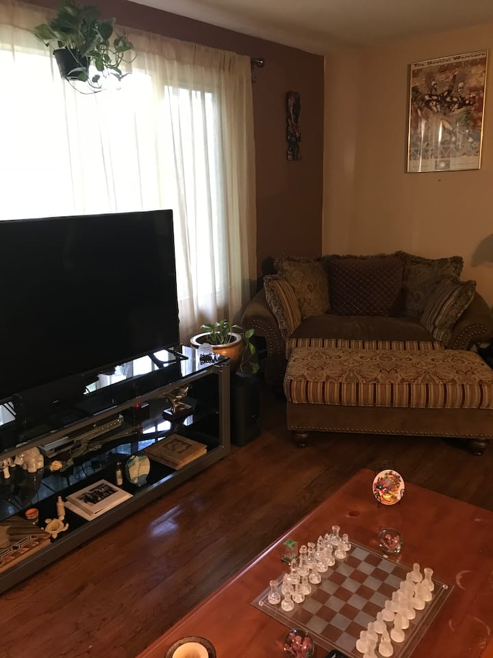 Una sedia doppia e un televisore da 55 pollici