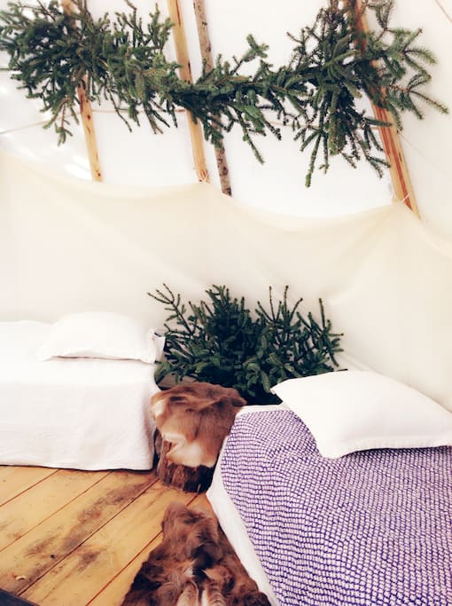 cozy...