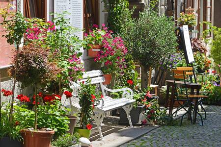 Light sojourn in a historical home *Bikes/SUP rent